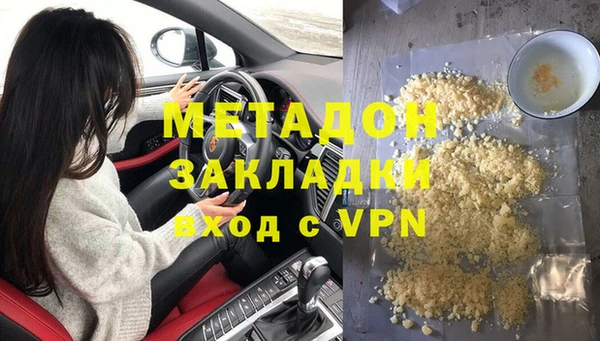 шишки Белокуриха