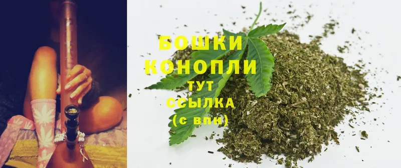 Бошки марихуана THC 21%  Чита 